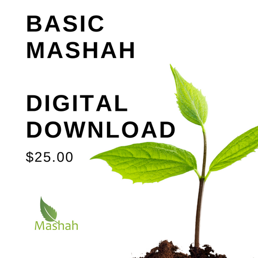 Basic Mashah Digital Workbook